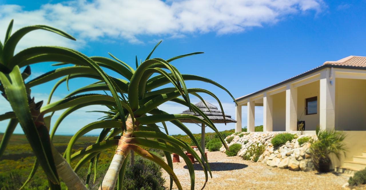 Kapensis Guesthouse Pringle Bay Exterior photo